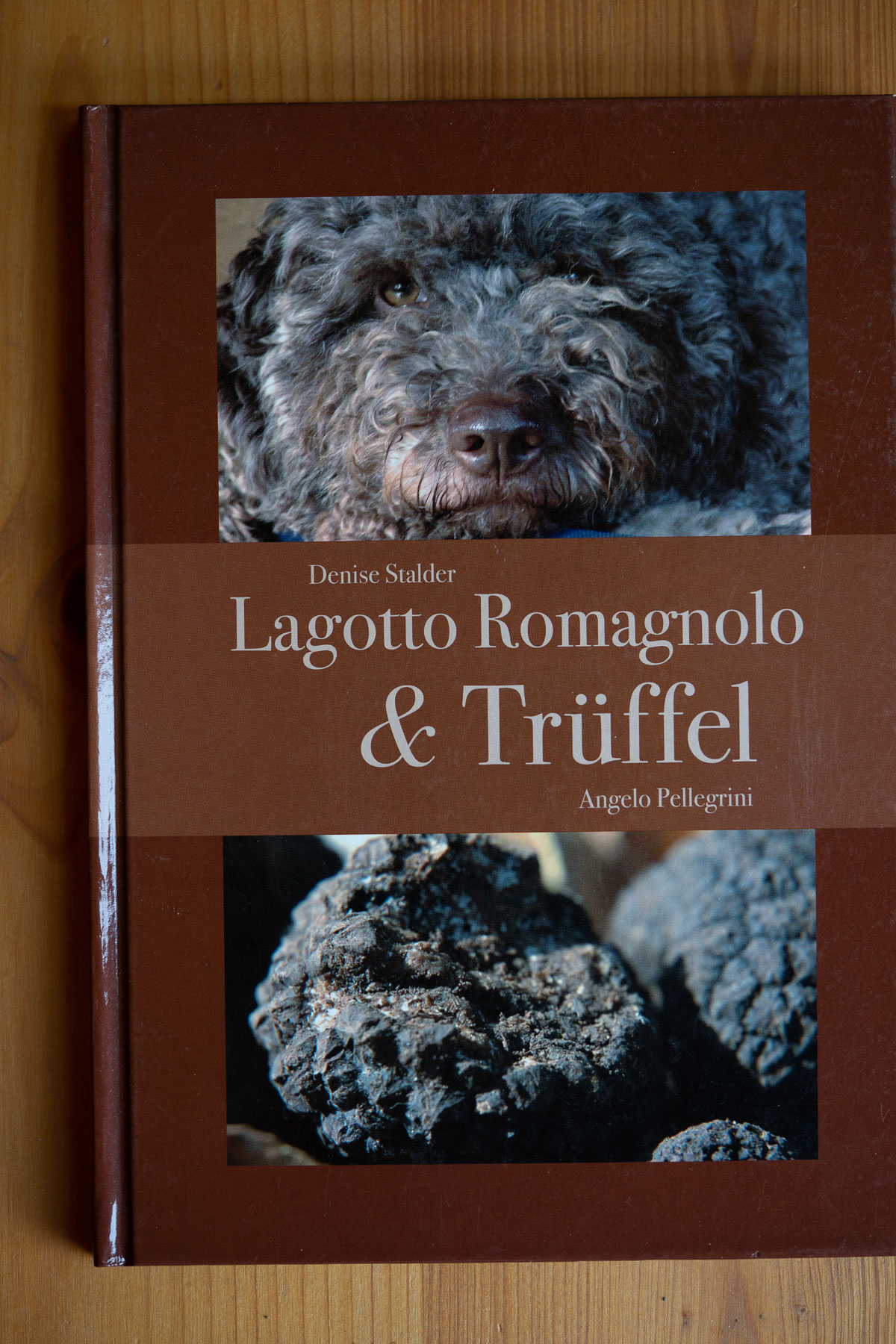 Literatur über den Lagotto/Trüffeln/Erziehung - Qualidogs